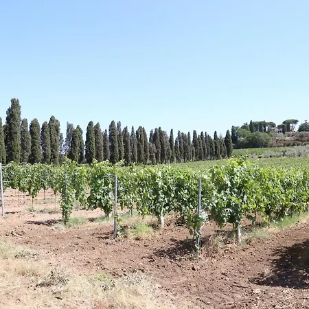 Casa di campagna Tenuta Di Pietra Porzia