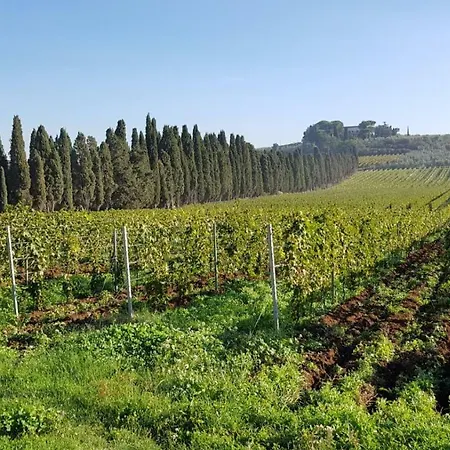 Tenuta Di Pietra Porzia Country house